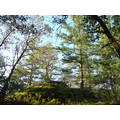 DSC04808